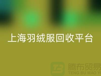 波司登羽绒服回收平台的环保意义-全天可预约回收#九游网页版