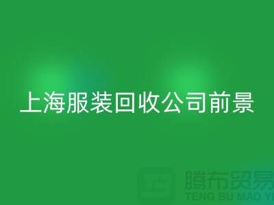 库存辅料回收市场分析表的深入解析及前景展望-上海九游网页版公司