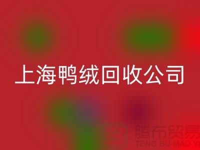 鸭绒回收公司 - 您的羽绒旧物重生之路 - 九游网页版有限公司