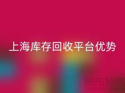探索上海九游网页版公司的优势与机遇（上海库存回收平台）