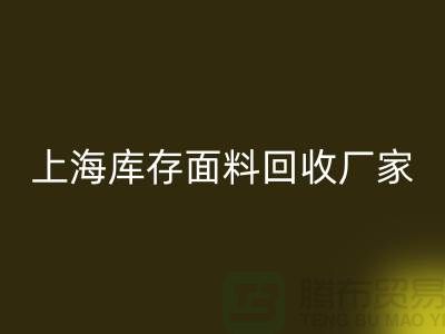 上海九游网页版公司排名前十有哪些品牌_九游网页版(ShTengBu.com)