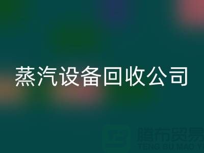 锅炉九游（中国）厂家：环保与经济效益的完美结合-蒸汽九游（中国）公司