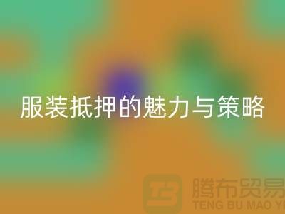 解锁衣橱新财富：服装抵押的魅力与策略——上海九游网页版公司