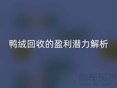 鸭绒回收的盈利潜力解析——九游网页版地址
