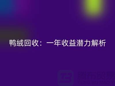 鸭绒回收：一年收益潜力解析@九游网页版