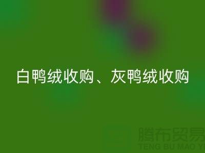 e0781372f877ba3e85ea8c11afd5005f_1.png