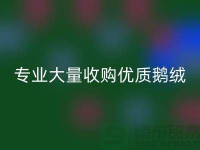 专业羽绒回收：大量收购优质鹅绒与鸭绒@九游网页版公司