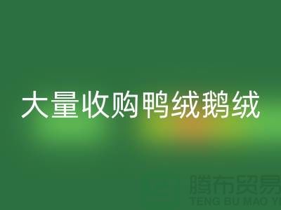 专业羽绒回收-大量收购鸭绒鹅绒-杭州九游网页版厂家