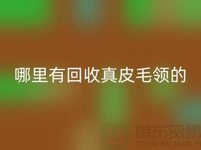 哪里有回收真皮毛领的地方-九游网页版有限公司