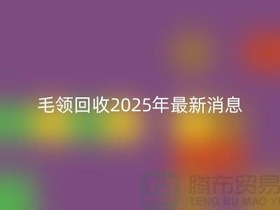 ## 毛领回收2025年最新消息