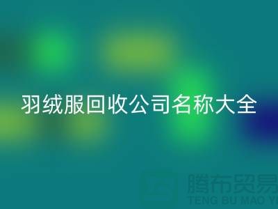 # 二手羽绒服回收公司名称大全：环保与时尚的新选择