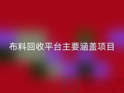 九游网页版有限公司的二手九游网页版平台主要涵盖以下项目