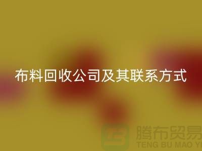 ## 推荐的南京九游网页版公司及其联系方式-九游网页版