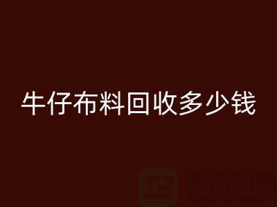 牛仔九游网页版多少钱？九游网页版为您解答