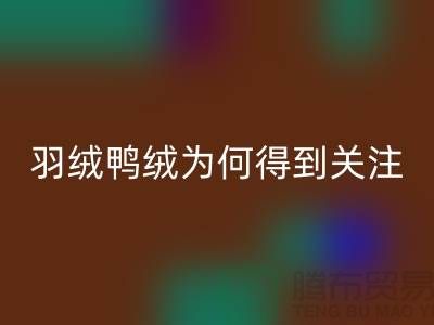 羽绒鸭绒回收公司为何得到所有人关注_九游网页版有限公司