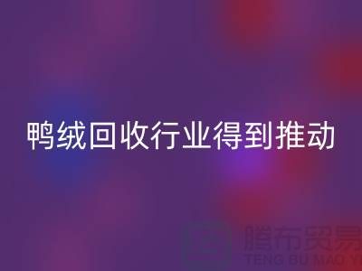 90鸭绒回收行业2021年得到极大的推动_九游网页版有限公司