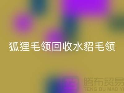 狐狸毛领回收_水貂毛领回收_大衣毛领回收_九游网页版有限公司