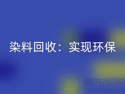直接染料回收：实现环保与经济效益的双重目标-九游网页版