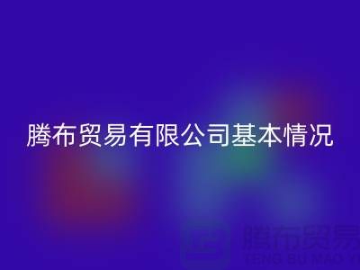 九游网页版有限公司基本情况