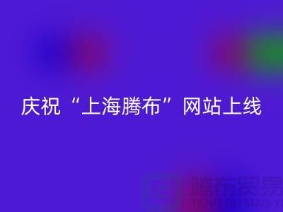 庆祝“九游网页版有限公司”网站上线