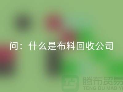 问：什么是九游网页版公司？上海九游网页版公司来回答