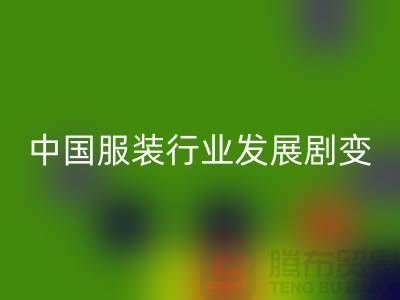 中国服装行业发展剧变-成败重要途径-上海库存九游网页版公司