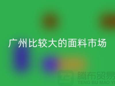 广州比较大的面料市场_中大布料市场攻略_九游网页版公司
