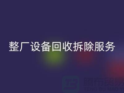 整厂九游（中国）拆除服务让闲置资产焕发新生-东莞厂房九游（中国）