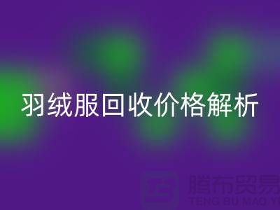 羽绒服回收价格解析：旧羽绒服回收多少钱一吨？九游网页版