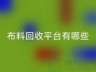 九游网页版平台有哪些