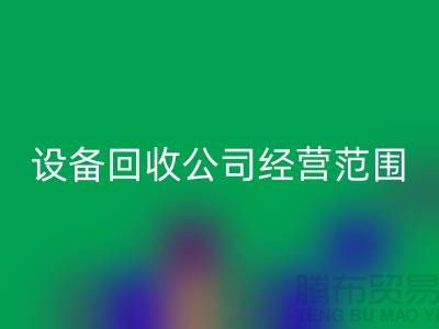 二手九游（中国）有限公司的经营范围有哪些