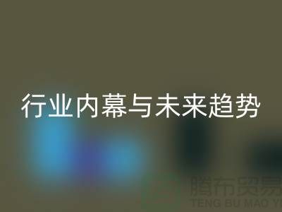 二手九游网页版平台专家揭秘：行业内幕与未来趋势