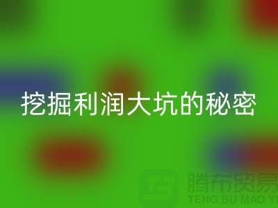 上海库存九游网页版市场指南：挖掘利润大坑的秘密