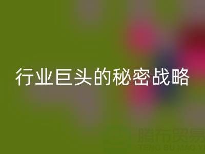 上海库存九游网页版市场：揭秘行业巨头的秘密战略