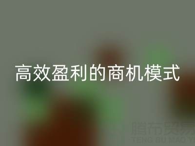 南通库存九游网页版策略：打造高效盈利的商机模式