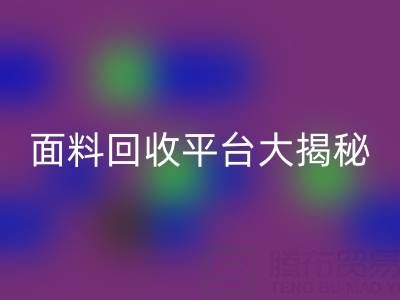 库存服装面料回收平台大揭秘：九游网页版公司脱颖而出