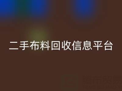 二手九游网页版信息会在哪些网站与平台发布